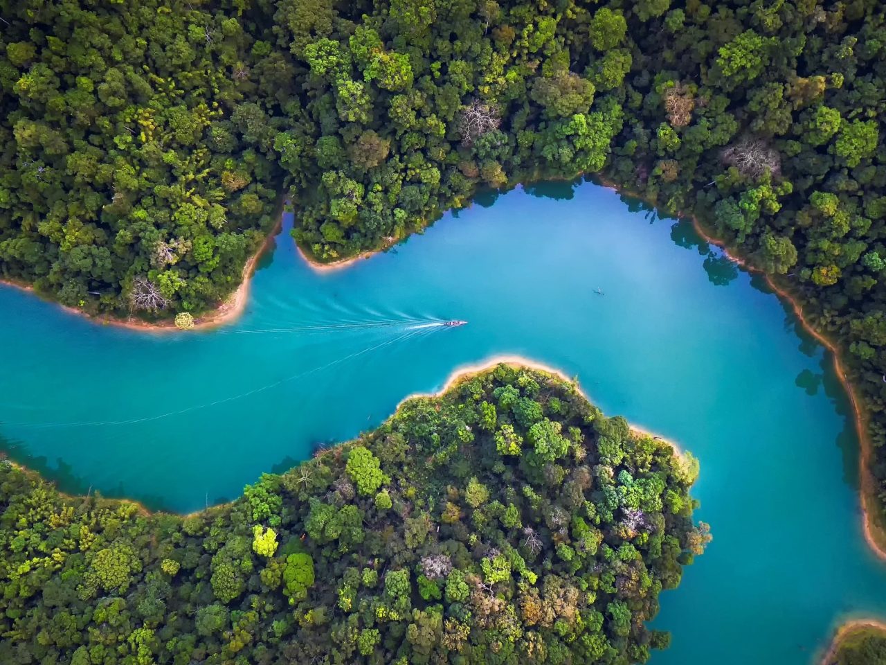 An introduction: Integrating climate and nature reporting