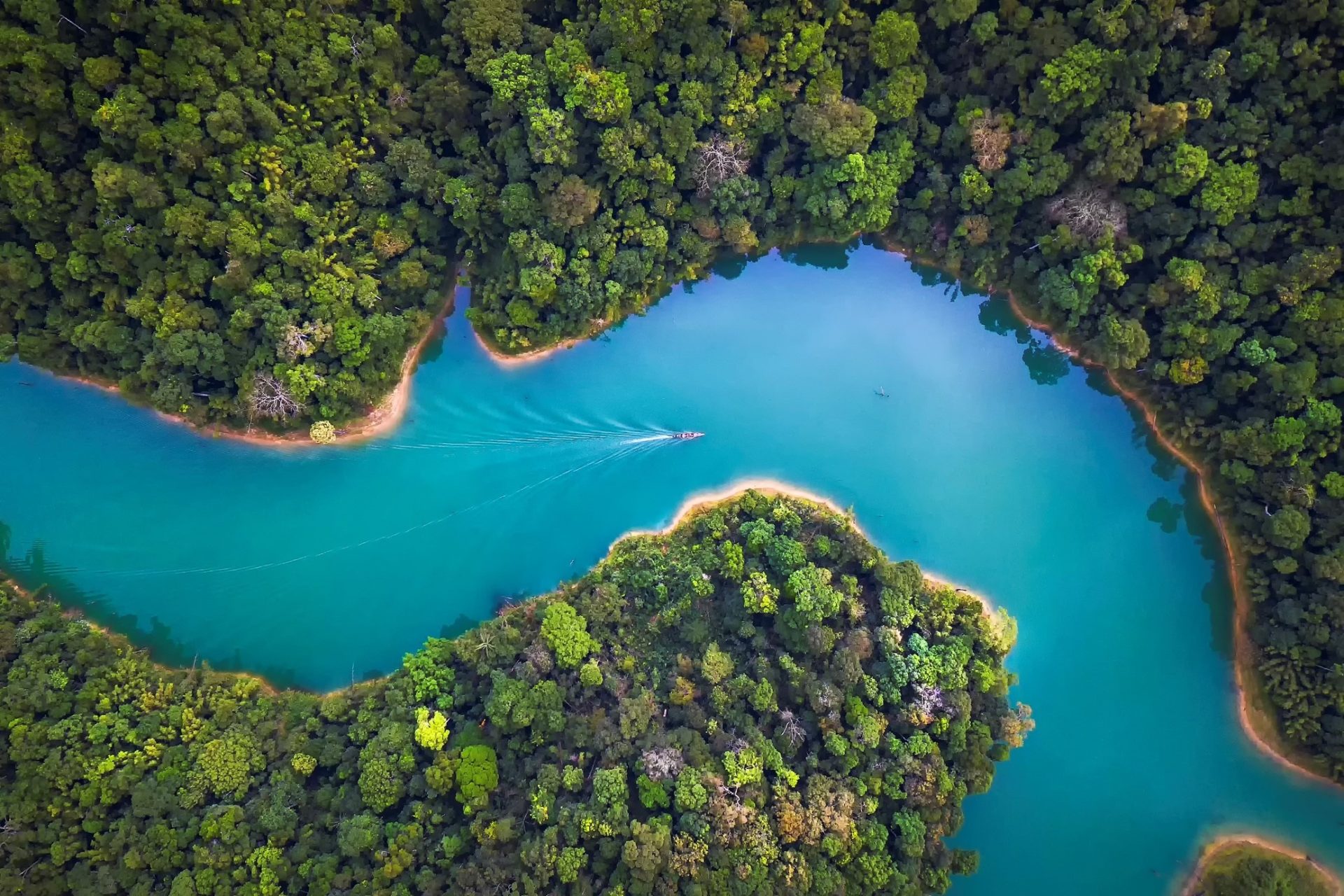 An introduction: Integrating climate and nature reporting