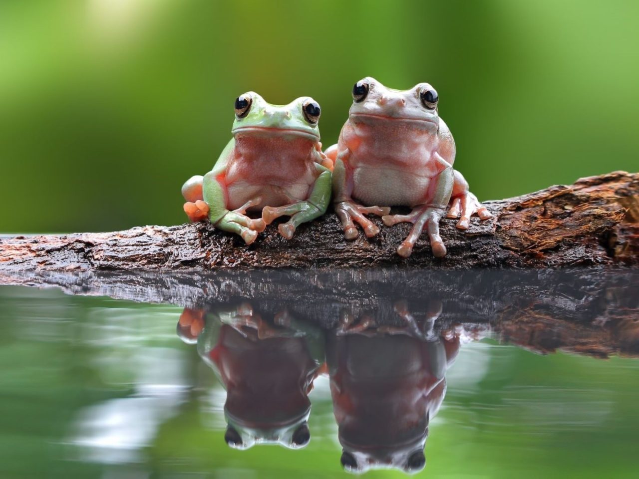 Biodiversity enhancement: A strategic imperative for corporate sustainability