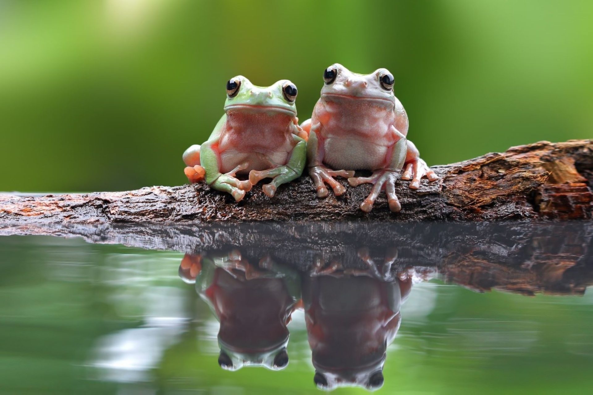 Biodiversity enhancement: A strategic imperative for corporate sustainability