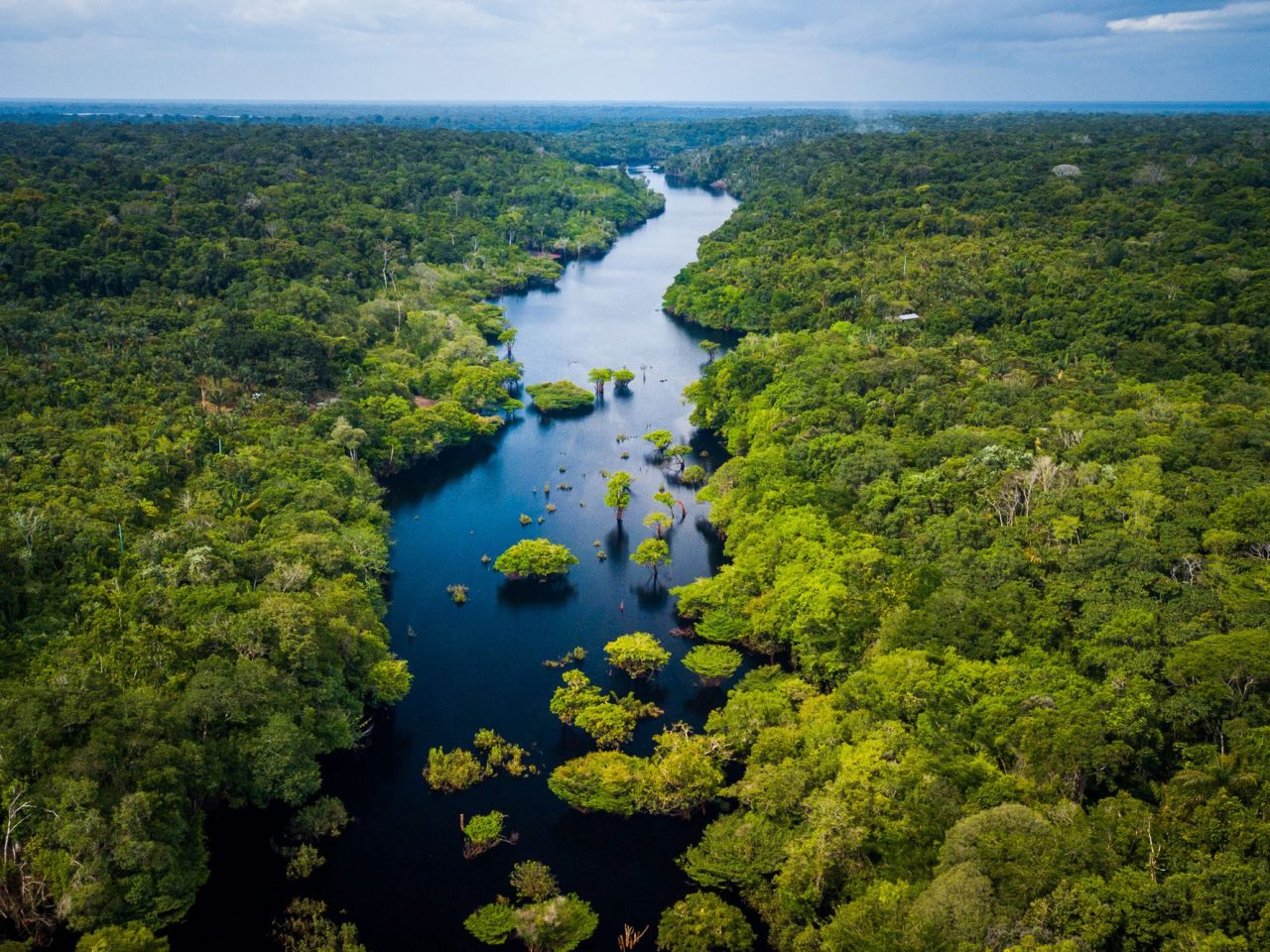 CDP and beyond: Navigating the 2025 cycle for sustainability leadership