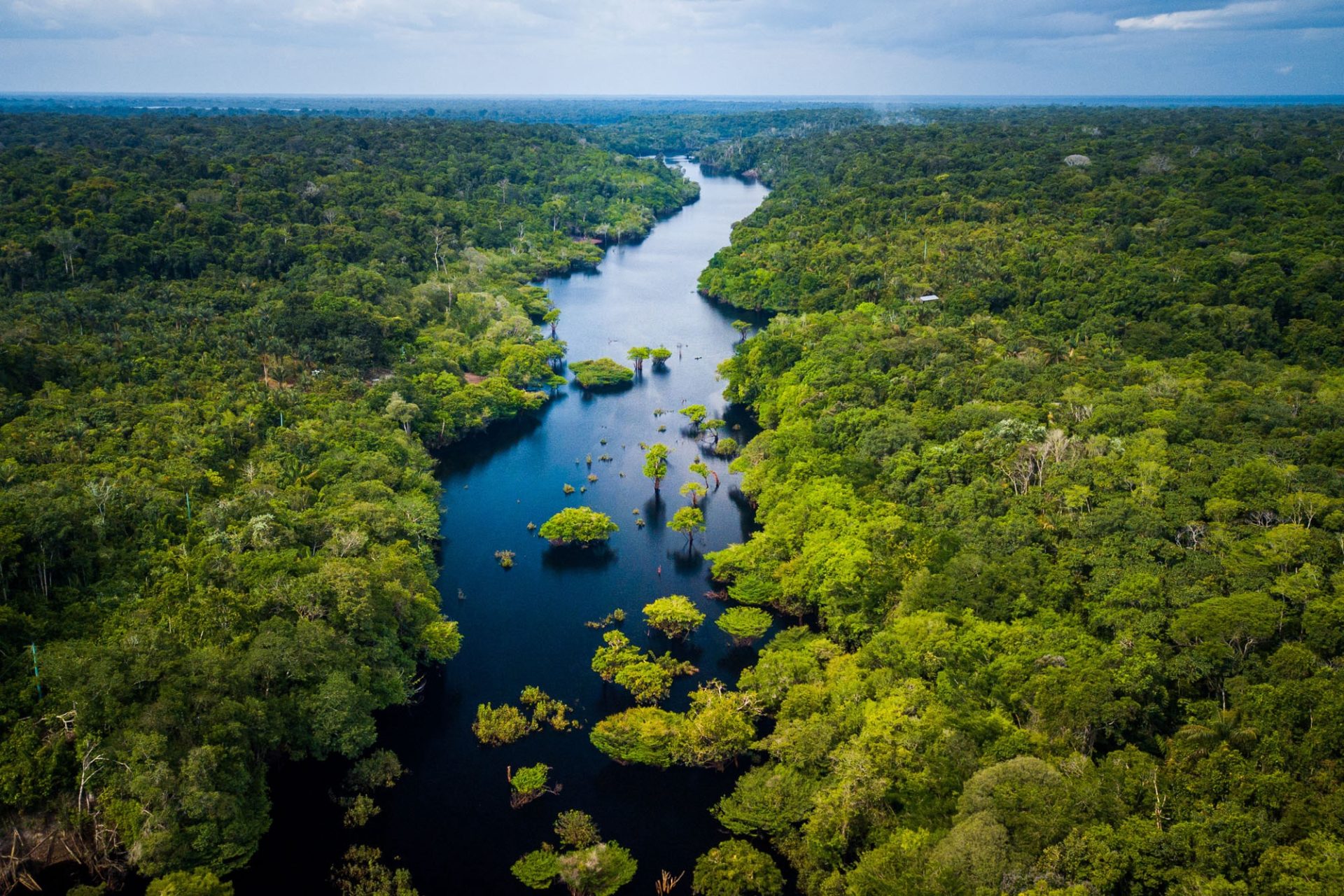 CDP and beyond: Navigating the 2025 cycle for sustainability leadership