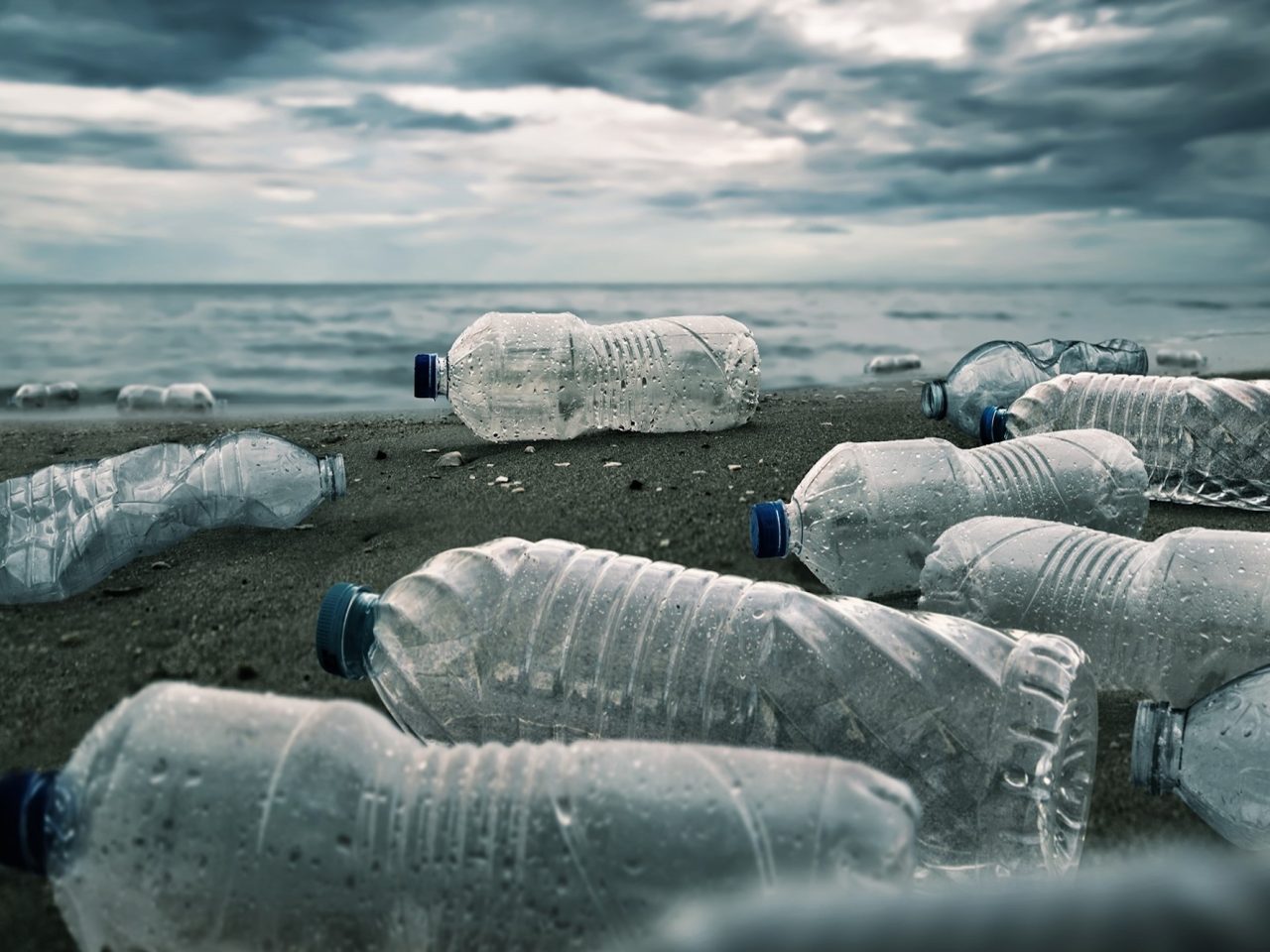 World Environment Day 2025: The business case for beating plastic pollution