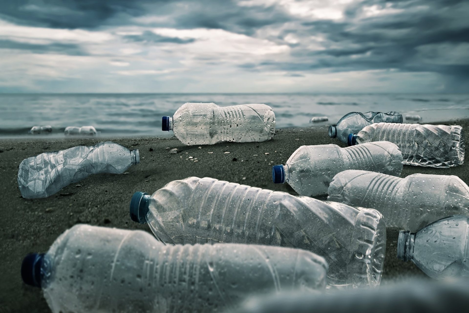 World Environment Day 2025: The business case for beating plastic pollution