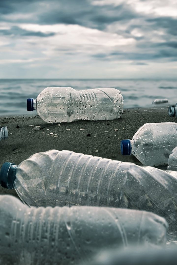 World Environment Day 2025: The business case for beating plastic pollution