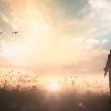 Silhouette of a person standing in a grassy field at sunrise or sunset, looking up at the sky with birds flying overhead and warm sunlight breaking through the clouds.