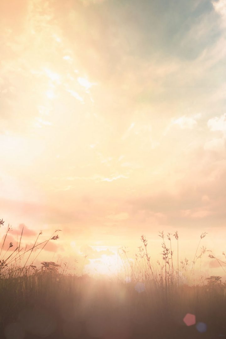 Navigating the future of reporting: Why pre-assurance is a sustainability superpower