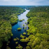Aerial view of a lush, dense rainforest with a winding, dark blue river cutting through the vibrant green foliage. The landscape stretches into the horizon under a partly cloudy sky, showcasing the vast, untouched expanse of tropical wilderness of Brazil.