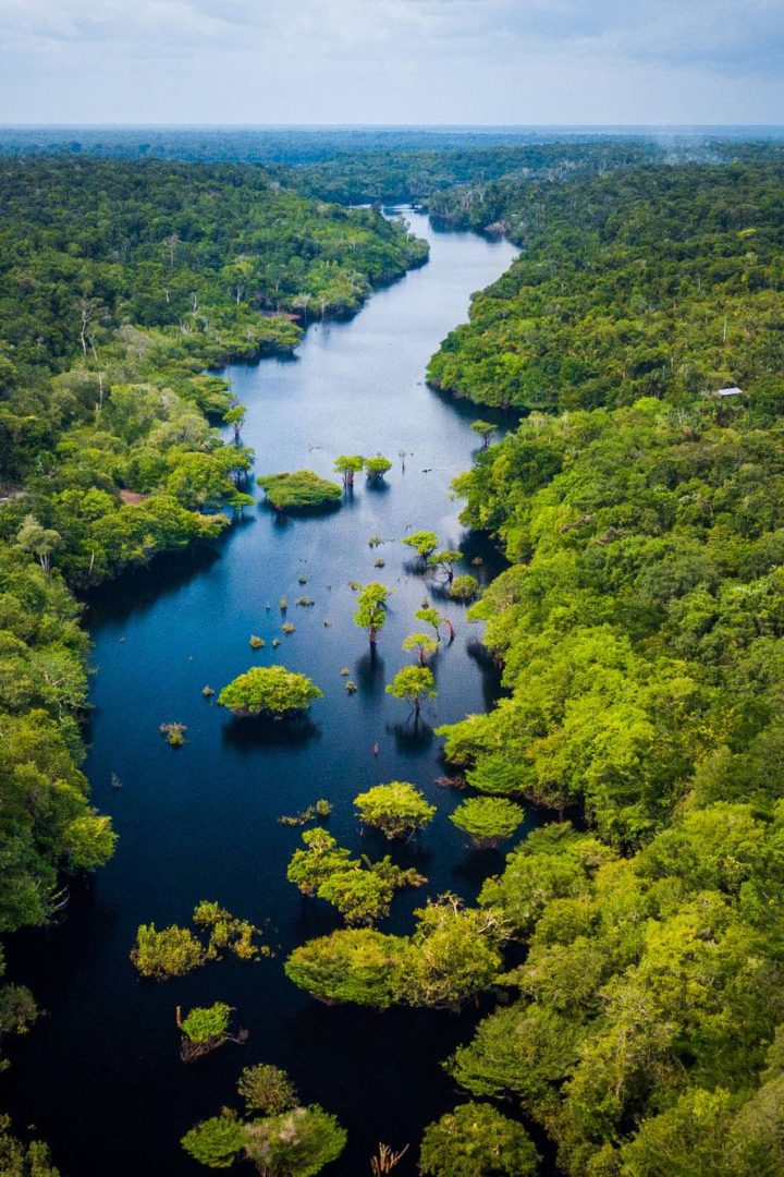 COP30: From ambition to action