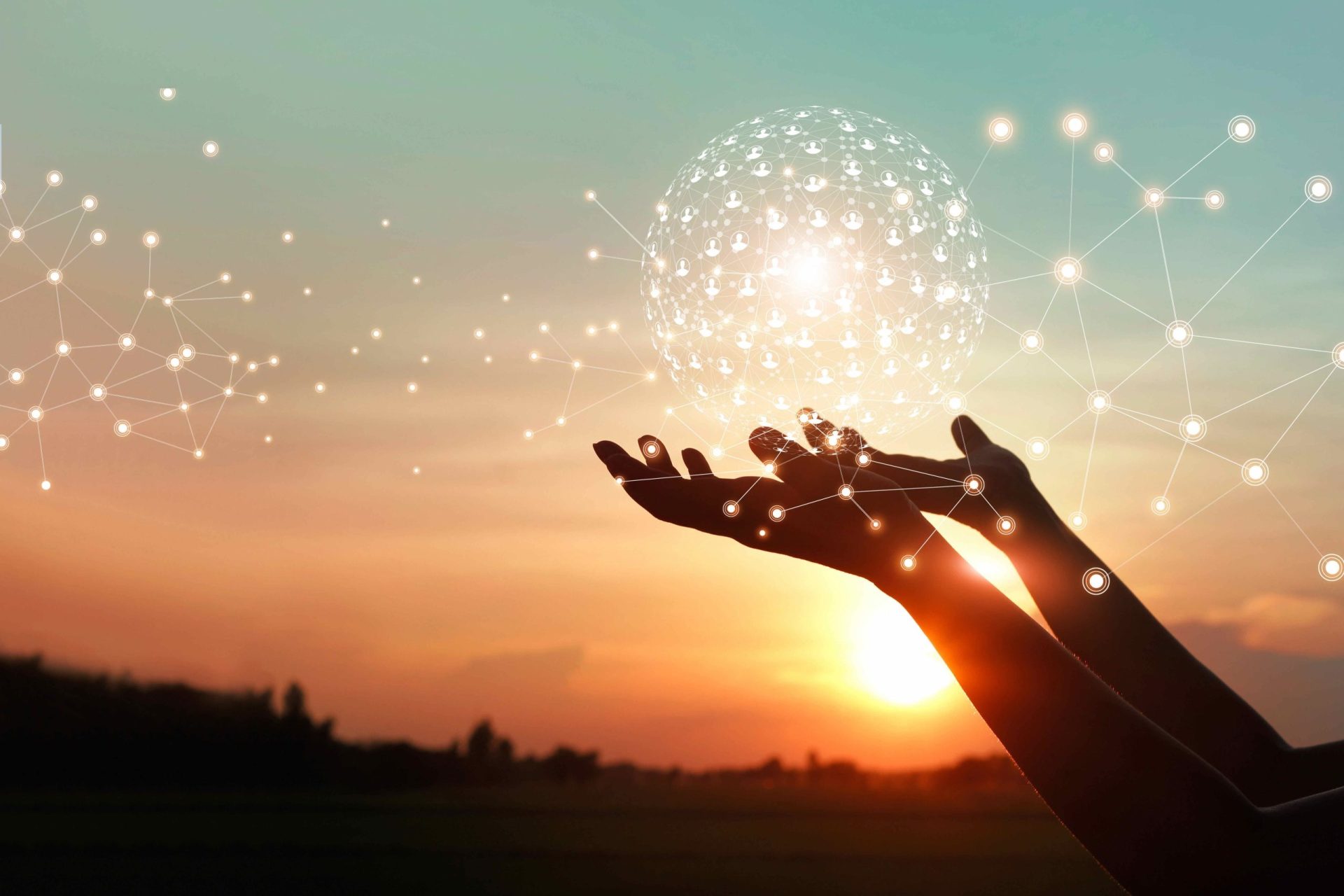 When to SBT? Our guide to the Science Based Target initiative’s Corporate Net-Zero Standard V2